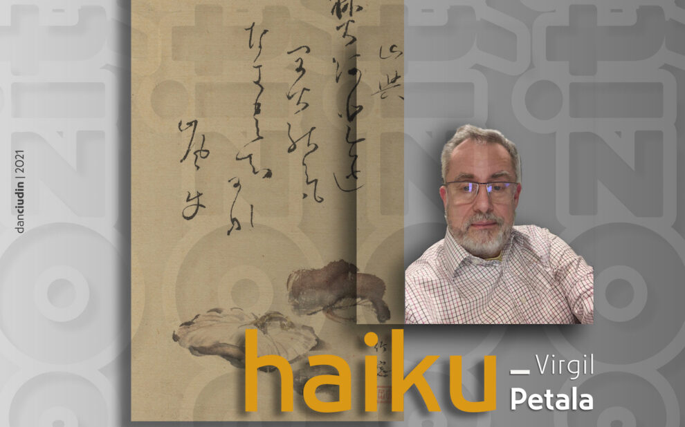 Virgil Petala - Haiku